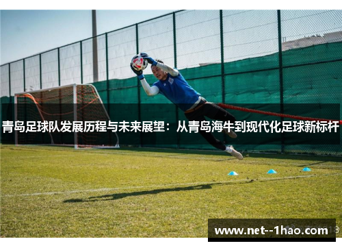 青岛足球队发展历程与未来展望：从青岛海牛到现代化足球新标杆