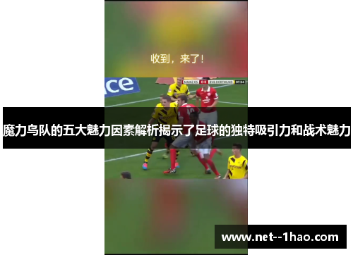 魔力鸟队的五大魅力因素解析揭示了足球的独特吸引力和战术魅力
