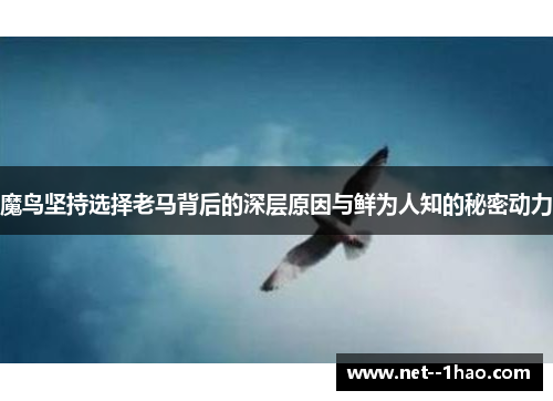 魔鸟坚持选择老马背后的深层原因与鲜为人知的秘密动力 魔鸟坚持选择老马背后的深层原因与鲜为人知的秘密动力